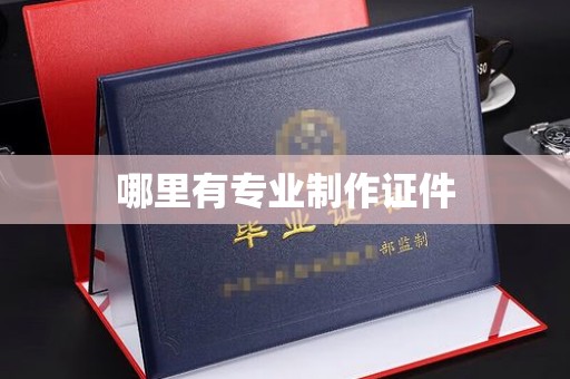 屏南哪里有专业制作证件